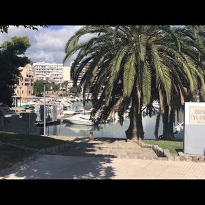 Meet your Posher, Vicki